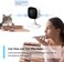 Tapo Mini Smart Security Camera (Tapo C100)