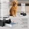 1 Gallon Cat Water Dispenser, Automatic Gravity Dog Water Bowl Dispenser with 3 Filters, Stainless Steel Large Capacity Cat Waterer for Cats and Small Dogs (3 Filters) 3.8L