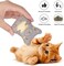 5 Pack Catnip Toys, Catnip Toy Pillow, Interactive Catnip Filled Kitten Toy, Plush Cat Chew Toys, Realistic Cute, Soft and Durable, Suitable for Cat Chew Toy, Animal Shapes