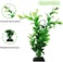 Radiotronics PietyPet Fish Tank Accessories Green Plants, 10pcs Green Fish Tank Decorations, Aquarium Decor Plastic Plants