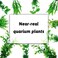 Radiotronics PietyPet Fish Tank Accessories Green Plants, 10pcs Green Fish Tank Decorations, Aquarium Decor Plastic Plants