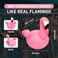 Floating Pool Lights, Solar Flamingo Pool Lights for Inground Pools, Waterproof, Glow-in-the-Dark Pool Accessories, Flamingo Party Pack (Pack of 2)