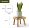 Small Wooden Stool, Plant Stand Indoor Step or Kids Stool - Ideal as a Small Side Table for House Plants, Bedroom Bedside or Bathroom (20cm)