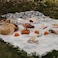 Picnic mat camping blanket seaside beach cloth picnic tablecloth tent floor mat park leisure blanket outdoor camping mat,1 pce (White, 130 * 180cm)
