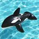 Jumbo Whale Kids Ride-On Pool Float