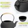 Japanese Tetsubin Cast Iron Teapot Tea Kettle pot with Stainless Steel Infuser for Stovetop Safe Coated with Enameled Interior