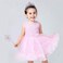 Princess Dress Up Accessories, Elsa Dress Up with Elsa Crown,Wand,Gift Set for Girls Christmas Party
