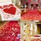 2200 PCS Dark-Red Silk Rose Petals Wedding Flower Decoration