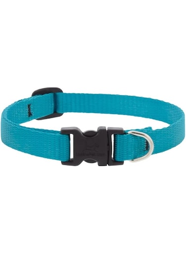 Lupine Basics 1/2in Aqua Adj. Collar 6"-9", 16-22cm