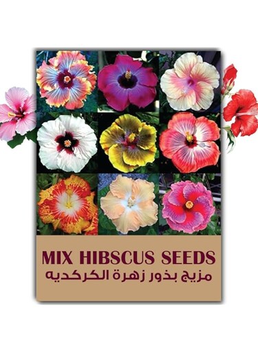 Mix Hibscus Flower Seeds for Planting   Hibscus Flower Seeds for Planting