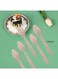 Birchwood Spoon