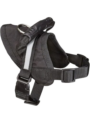 Guardian Gear Excursion Dog Harness, Small, Fits Chests 15" to 19", Black