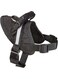 Guardian Gear Excursion Dog Harness, Small, Fits Chests 15" to 19", Black