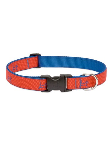 LupinePet 1/2&Prime; (Width) 8-12&Prime;(Neck) Adjustable Collar for Small Dogs &ndash; Derby Red