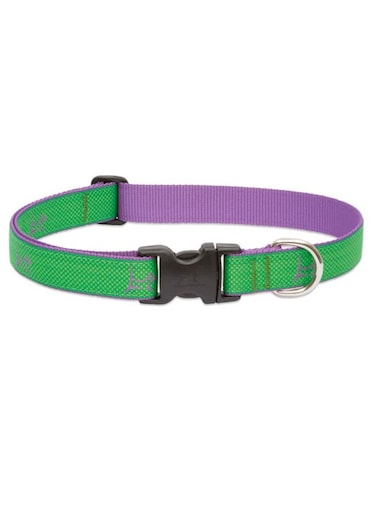 LupinePet 1/2&Prime; (Width) 8-12&Prime;(Neck) Adjustable Collar for Small Dogs &ndash; Augusta Green