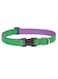 LupinePet 1/2&Prime; (Width) 8-12&Prime;(Neck) Adjustable Collar for Small Dogs &ndash; Augusta Green