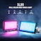 NEEWER 12W RGB Video Light, LED Panel for Streaming, Selfie, 2500K-10000K CRI97+, App Control/2.4G, 4300mAh Battery, Desktop Support for Vlogging, Video Recording, Podcast, SL90