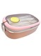 Stainless Steel Lunch Box for Adults &amp; Kids Insulated Bento Lunch Box for Men with Fork &amp; Spoon, Leakproof, BPA-Free, Dishwasher Safe, Microwave Safe 750ml (Pink)