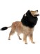 CQJ Lion Mane Dog Costume - Black, Size L + Tail Set - Halloween