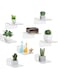 Bolidery 8 Pack Small Wall Shelf, 4'' Acrylic Wall Shelves Display Ledges for Storage &amp; Decoration, Small Floating Shelf for Wall with 2 Types of Installation (Adhesive or Screw)