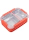 BrainGiggles Stainless Steel 2 Compartments Bento Lunch Box with Removable Inner Tray - Insulated, Leak Proof Bento Box for Kids, Adults - Multifunctional Air Tight Food Container (RED), 22*16*7.5cm