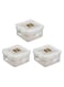 3-Piece 600ml Bpa Free Reusable Food Grade Plastic Food Packaging Container Storage Box
