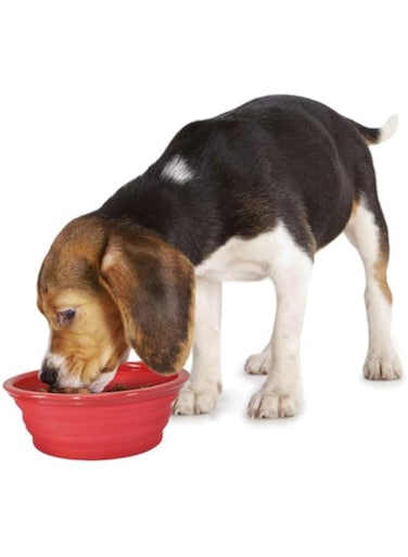 Camon Folding Silicon Travel Bowl,Small,350Ml, Silicon Travel Bowl for Pet, Folding Bowl, Food Grade Silicone, Large Capacity, Easy to Wash, Pet Bowl Outdoor Camping and Hiking, Suitable for all pets
