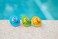 Zoggs Kids Seal Flips Pool Water Toy, Multicolour, 4+ months