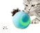 Smart Cat Toy, Automatic Rolling Ball Electric Cat Ball Interactive For Cats ABS Balls for Dogs Pet Chew Toy