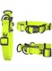 Doco Double D (Dd) - Ring Nylon Collar (Dcs005 - S7L) Color - Green, Sizes - L