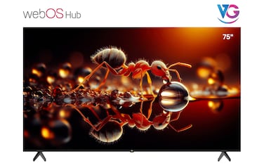 تي في ذكي LED 75 بوصة 4K UHD - مركز WebOS، لوحة بدرجة A+، صوت دولبي، ريموت سحري، بلوتوث، توافق مع Apple AirPlay - 2025