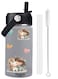 Attack Kids Stainless Steel Water Bottle &acirc;&euro;&ldquo; Leakproof &amp; BPA-Free &acirc;&euro;&ldquo; Double-Wall Insulated Thermos for Hot &amp; Cold Drinks &acirc;&euro;&ldquo; Fun Printed Artwork for Boys &amp; Girls &acirc;&euro;&ldquo; 350ml