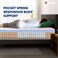 Sleepwell Spring Fresh Classic   3 Zone Profiled Resitec Foam   Single Bed Size   Pocket Spring   Neem Fresche Technology   Anti Sag Mattress (200L x 90W x 25H cm)