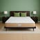Sleepwell Spring Fresh Classic   3 Zone Profiled Resitec Foam   Single Bed Size   Pocket Spring   Neem Fresche Technology   Anti Sag Mattress (200L x 90W x 25H cm)