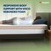 Sleepwell Spine Plus Regular   Visco Rebonded Foam   Super King Bed Size   Bonnell Spring   Neem Fresche Technology   Anti Sag Mattress (200L x 200W x 20H cm)