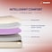 Sleepwell Utsav 2.0 Resitec Foam Single Bed Size Medium Firm Neem Fresche Technology Anti Sag Mattress (200L x 90W x 15H cm)