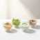 1CHASE Double Wall Borosilicate Salad, Pasta, Matcha, Rice, Soup Bowl, Hot And Cold Serving Bowls, Fruit Bowls, Set of 4 (100 ML)