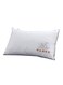 2-Piece Hotel Pillow Cotton White 48x74centimeter