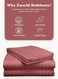3-Piece Luxury Maroon Striped Bed Sheet Set, Ultra-Soft Cotton Fitted Sheet with 2 Pillowcases for Hotel &amp; Home &ndash; Single Size