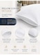 3-Piece Printed Microfiber Flat Bedsheet Set Queen Size with 2 Pillow Covers, Chevron Print, Ultra Soft, Breathable &amp; Fade Resistant