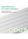 Replacement Filter for Dyson Air Purifier &ndash; H13 Grade HEPA &amp; Carbon Filter with Cleaning Brush (Compatible with HP04, TP04, DP04, PH04, HP09, TP09, HP07, TP07, HP06, TP06) Pack of 1