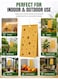5PCS Double-Sided Sticky Insect Traps &ndash; Non-Toxic Glue Boards with Hanging Ties for Flying &amp; Crawling Insects