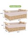 Set of 2 Rectangular Woven Storage Baskets with Washable Liners, Paper Rope Straw Rattan Baskets with Handles for Organizing Toys, Books, Cosmetics &amp; Daily Essentials