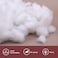 White Polyester Filling Fluffy High Resilience Stuffing for Cushions, Pillows, Teddy Bear and Toy Hypoallergenic Lofty Hollow Filling for Sofas and Bedding, 1.5Kg