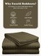 3-Piece Luxury Olive Green Striped Bed Sheet Set, Ultra-Soft Cotton Fitted Sheet with 2 Pillowcases for Hotel &amp; Home &ndash; Double Size (220&times;240cm)