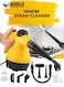 Eworld Portable Handheld Steam Cleaner 1000W, High Temperature Pressurized Cleaning Machine with 9 Accessories for Home, Car &amp; Upholstery