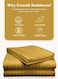 3-Piece Luxury Gld Striped Bed Sheet Set, Ultra-Soft Cotton Fitted Sheet with 2 Pillowcases for Hotel &amp; Home &ndash; Double Size