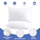 2 Pack Polyfiber Bed Pillows for Sleeping- Ultra Soft Breathable Down Alternative Pillows - Hotel Luxury Collection Pillows for Back Stomach or Side Sleepers (50X75)