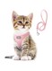 Fida Cat Harness and Leash Set for Walking Kitten and Puppy, Escape Proof Kitten Harness with Breathable Lightweight Soft Mesh, Adjustable Reflective Step-in Design. (XXXS, Pink)