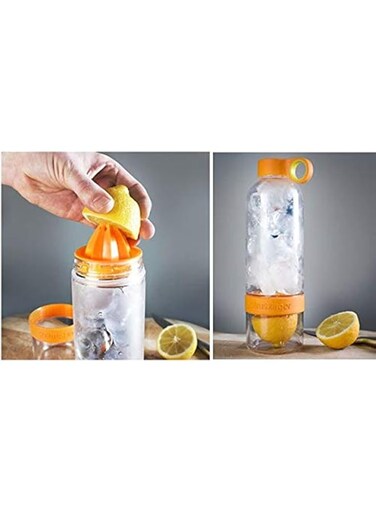 Citrus Zinger Fruit Infuser Water Bottle, Orange